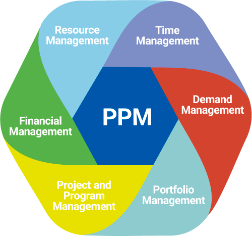 Project Portfolio Management (PPM)